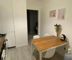 1 kabario butas, 36m²,plytiniame name