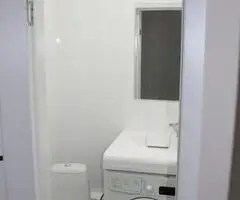 JAukus 1 kambario butas, 22 m²