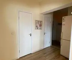 1 kambarys, 43 m², indvidualus išplanavimas