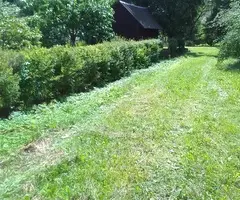 Sodyba ramioje vietoje - 10